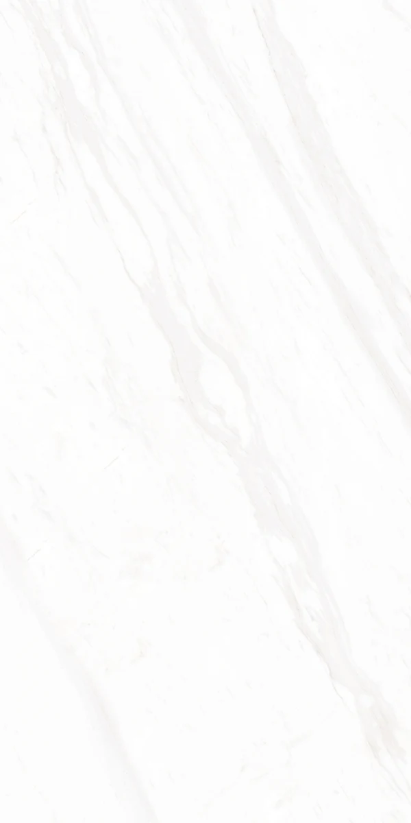 Mặt gạch BM-B61201P1 — góc 3 — 600x1200mm